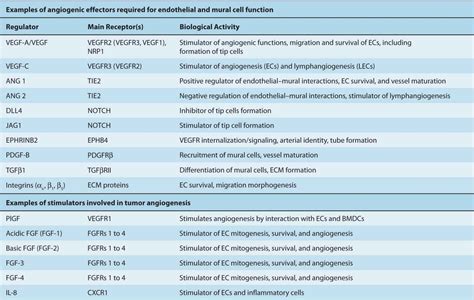 Angiogenesis | Oncohema Key