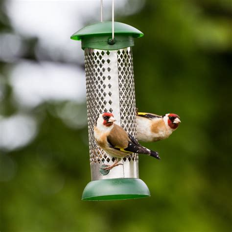 Bird Feeder - Goldfinch - GardenBird