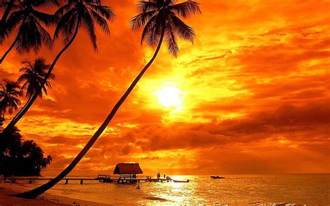 Bora Bora Tropical Sunset Beach Palm Trees Red Sky Clouds, Bora Bora ...