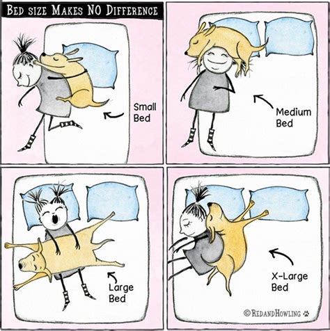 Bed Size Makes No Difference | Cani divertenti, Animali, Cani neri