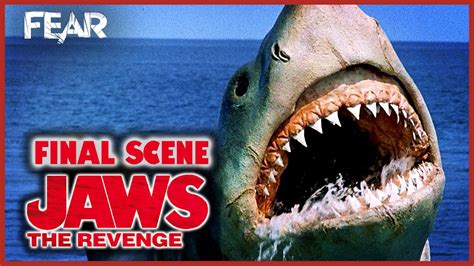 Jaws 5 Shark