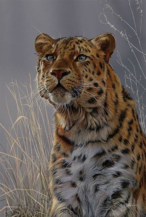 Wildlife paintings – Artofit