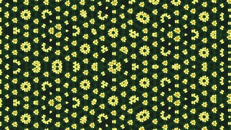 Yellow Flowers With Black Background · Free Stock Photo