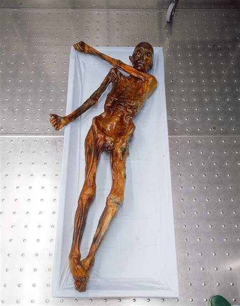 ÖTZI, LA MOMIE DES GLACES | ICI Explora