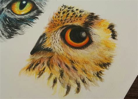 Owl Eye Drawing at GetDrawings | Free download