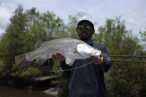 Barramundi (Barra) of Australia [Tips to Catch Them] - Flylords Mag