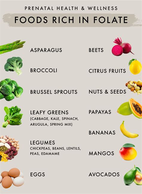 Foods Rich in Folate / Folic Acid