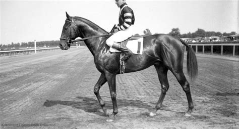 8 Facts About War Admiral, The Triple Crown Winning Racehorse