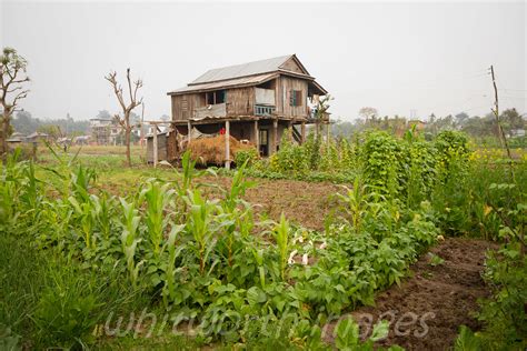 Eastern Tarai - Nepal - Around Guides