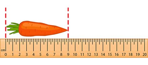 What is a Centimeter (cm)? - Definition, Facts & Examples