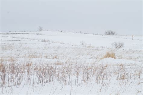 Glacial Ridge National Wildlife Refuge Polk County MN IMG_0507 | The ...