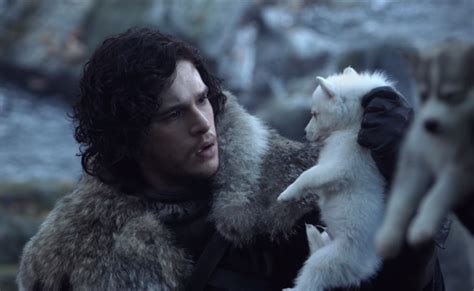 Is Ghost Still Alive On 'Game Of Thrones'? Jon Snow's Direwolf Is MIA