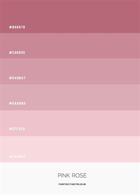 Pink Rose Colour Scheme #Colour Palette 67 | Color palette pink, Hex ...