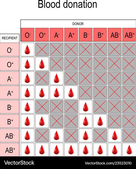 Blood Donation Height Weight Chart