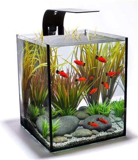 17 Pleasing Contemporary Fish Tank Ideas