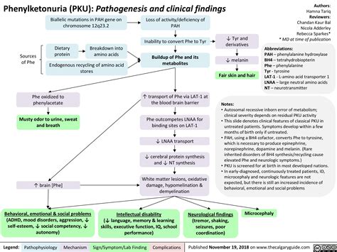 Phenylketonuria (PKU): Pathogenesis and clinical findings | Calgary Guide