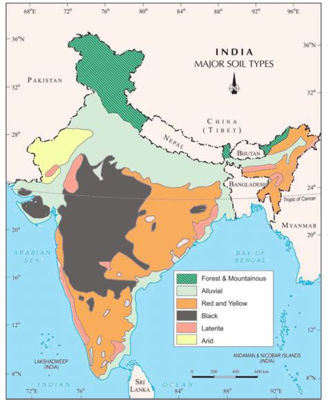 School of Geography | Your Online School Of Geography: Soils Of India ...