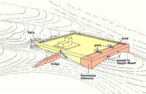 Locating the Original Temple Mount · The BAS Library | Library, Temple ...