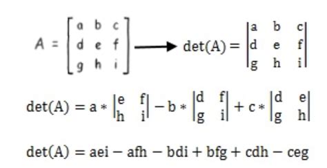 Can Matrix Determinant Be Negative - Kyra-has-Galvan