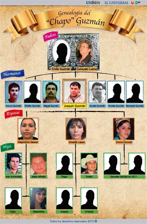 [Infografía]: Árbol genealógico de 'El Chapo' Guzmán | Jalisco móvil ...