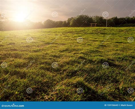 Empty Green Field at Sunset, Warm Colors, Sun Flare. Warm Yellow Colors ...