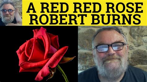 🔵 A Red Red Rose Poem by Robert Burns - Summary Analysis - A Red Red ...