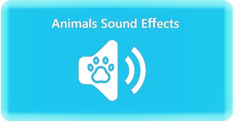 Animals Sound Effects Audio Package | Animals Sound FX | Unity Asset Store