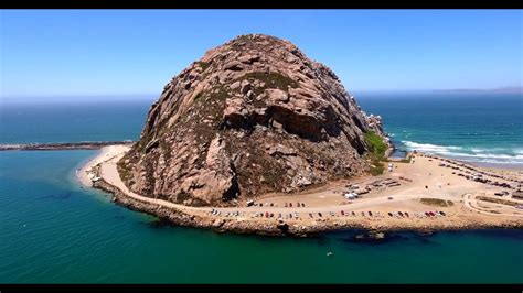 Are Dogs Allowed At Morro Rock Beach