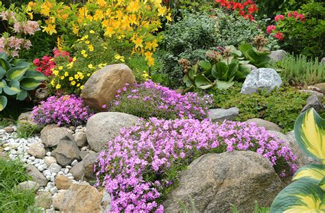 How To Build A Rock Garden - Encycloall