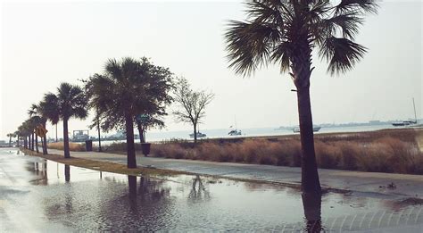 When Lowcountry King Tides Rise in Charleston, SC - Blog, Luxury Simplified