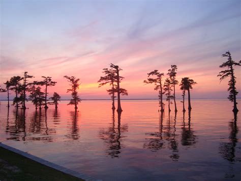 Albemarle Sound-near Mackeys, NC | North Carolina | Pinterest | North ...