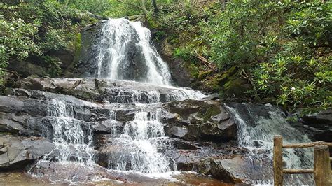 Laurel Falls Trail | Review with Insider Tips & Photos