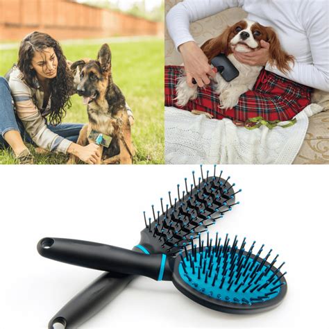 The Best Dog Brushes for Short-Haired Breeds