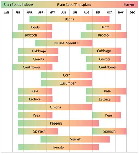 Zone 8 Planting Calendar - Urban Farmer Seeds