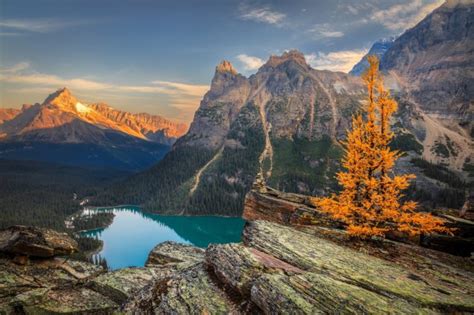 mountains, Scenery, Autumn, Lake, Canada, Parks, Crag, Yoho, Lake ...