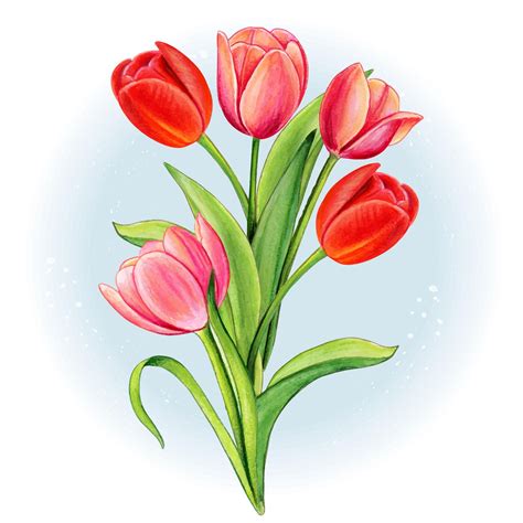 Premium Vector | Watercolor red and pink tulip bouquet