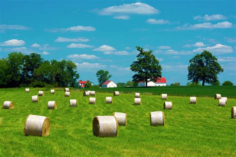 Farm-hayfield With Barn In Background-eastern Ohio Photograph by ...