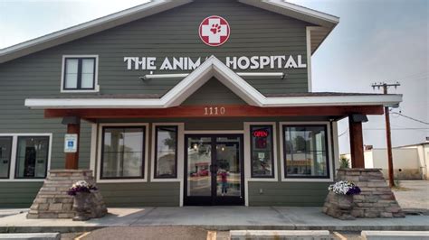 Animal Hospital Of Pasco - Our Services - Citi Animal Hospital - Animal ...