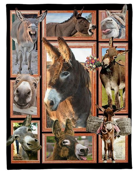 Donkey Cute Donkeys Blanket in 2022 | Cute donkey, Animal blanket, Animals