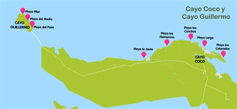 Sympton milagro Floración mapa de coco llevar a cabo Tanzania Jardines