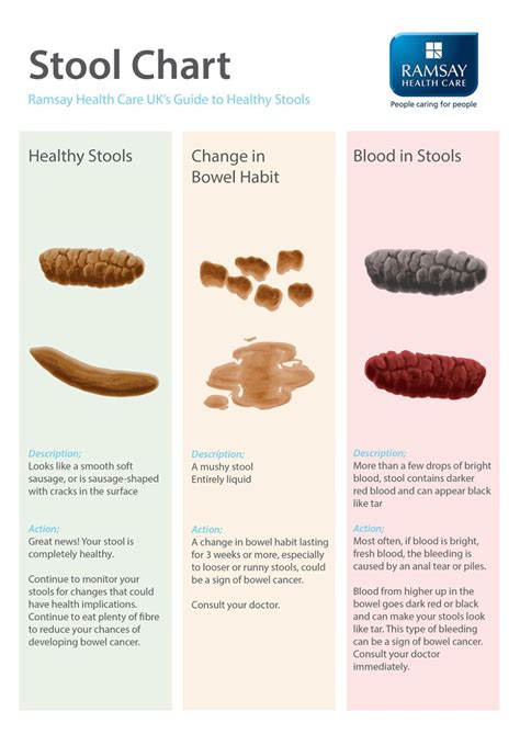 What Your Poop Says About Your Health Vegan Cake Easy, Stool Chart ...