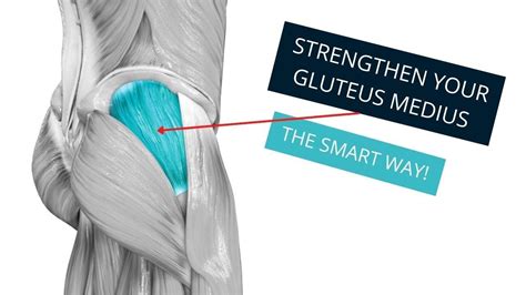 Exercises to Strengthen the Gluteus Medius for Hip and Back Pain.