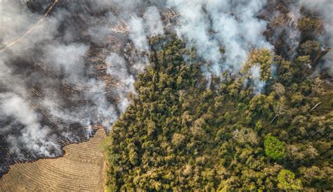 Climate Change in Brazil: Fire, Frost, Drought Upends Global Markets ...