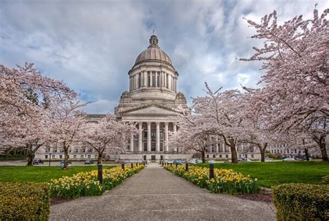 Washington State Capitol photo spot, Olympia