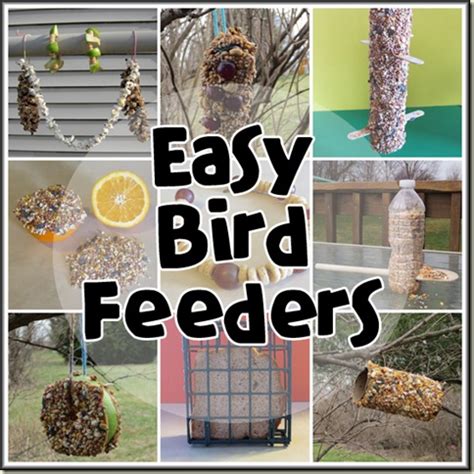 14 Bird Feeder Projects Using Natural And Recycled, 53% OFF