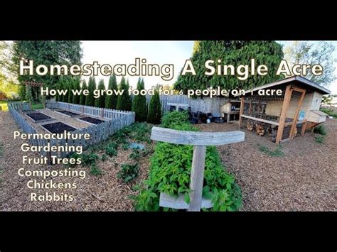 How We Built a 10 Acre Homestead in a Year (from scratch)