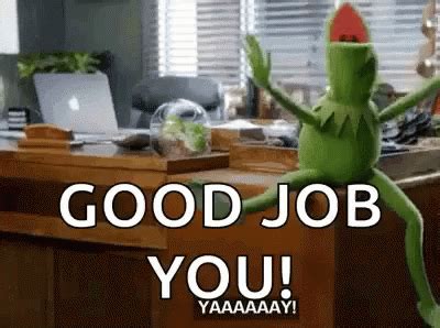 Yay Good Job GIF - Yay Good Job You - Discover & Share GIFs