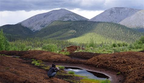 Thawing permafrost soils release mercury | Polarjournal