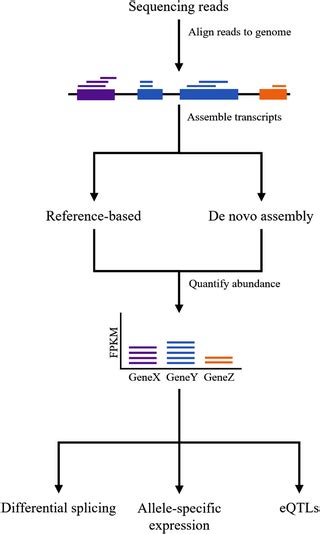 RNA‐seq data analysis [31]: Following typical RNA‐seq experiments ...