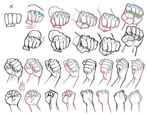 fist ref | Hand drawing reference, Hand reference, Figure drawing reference